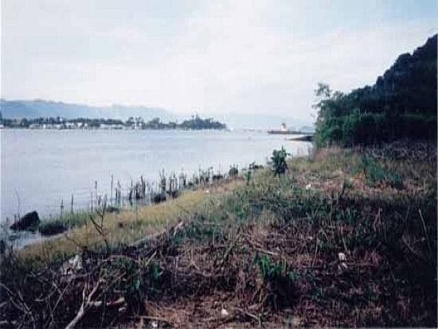 Terreno para Venda em Guarujá - 5